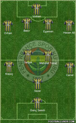 Fenerbahçe SK Formation 2013