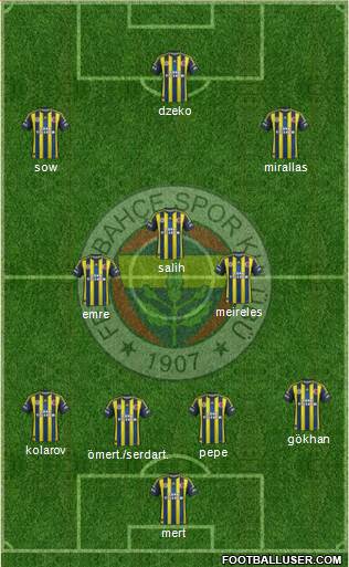 Fenerbahçe SK Formation 2013