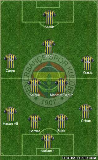 Fenerbahçe SK Formation 2013