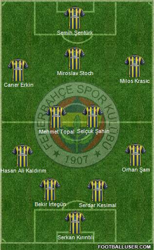 Fenerbahçe SK Formation 2013
