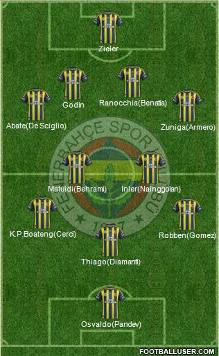 Fenerbahçe SK Formation 2013