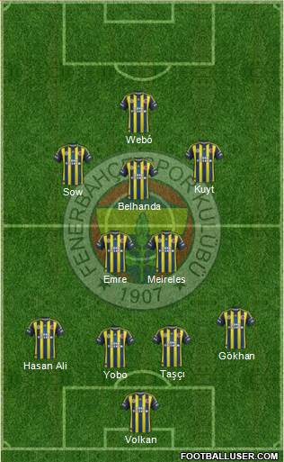 Fenerbahçe SK Formation 2013