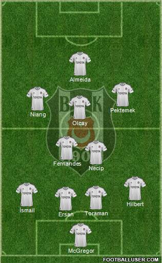 Besiktas JK Formation 2013