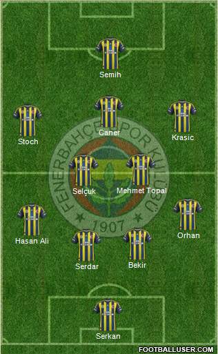 Fenerbahçe SK Formation 2013