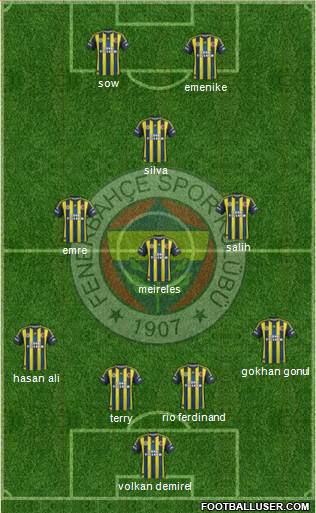 Fenerbahçe SK Formation 2013