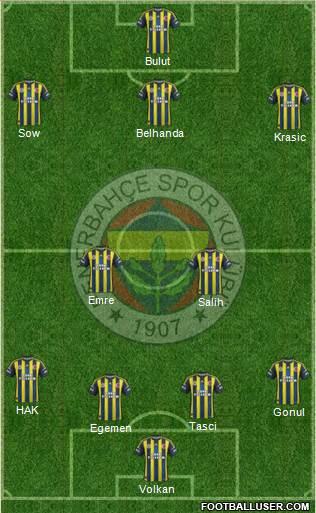 Fenerbahçe SK Formation 2013