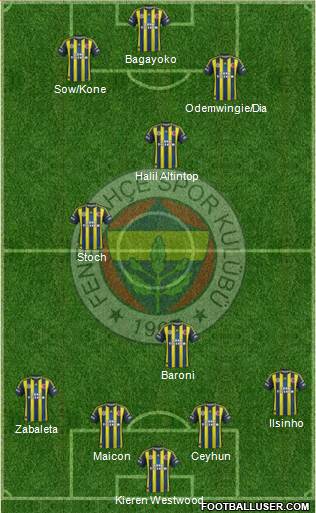 Fenerbahçe SK Formation 2013