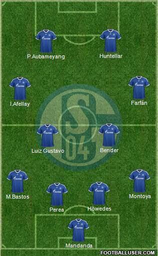 FC Schalke 04 Formation 2013