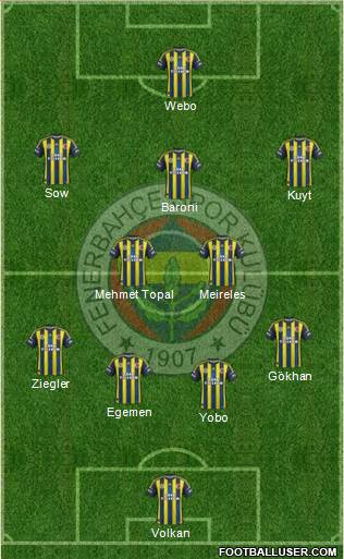 Fenerbahçe SK Formation 2013