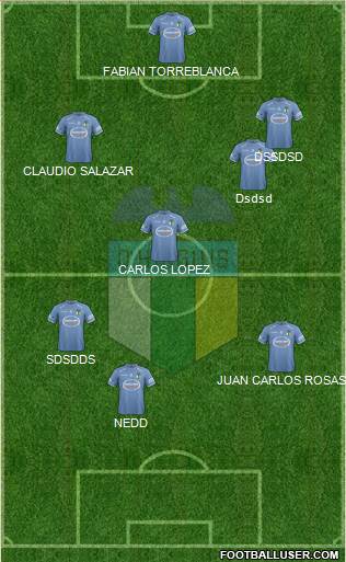 CD O'Higgins de Rancagua S.A.D.P. Formation 2013
