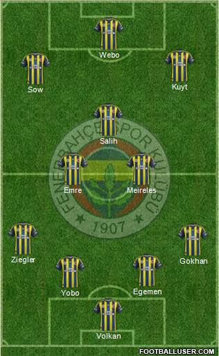 Fenerbahçe SK Formation 2013