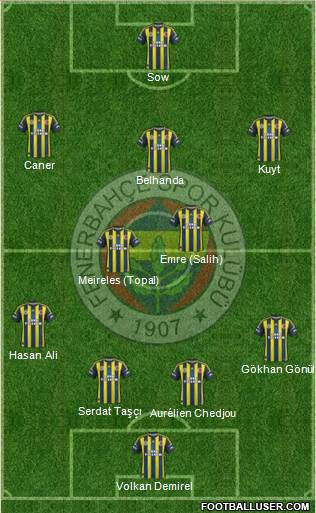 Fenerbahçe SK Formation 2013