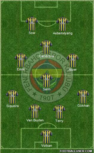 Fenerbahçe SK Formation 2013