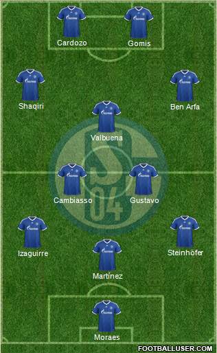 FC Schalke 04 Formation 2013