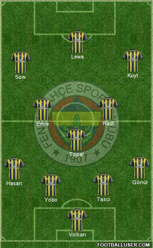 Fenerbahçe SK Formation 2013