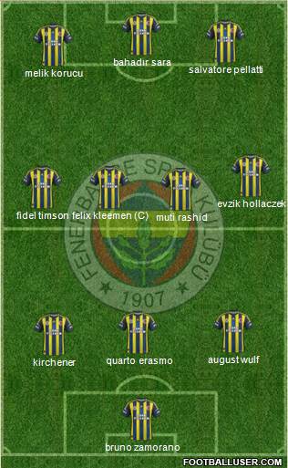 Fenerbahçe SK Formation 2013