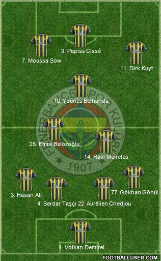 Fenerbahçe SK Formation 2013