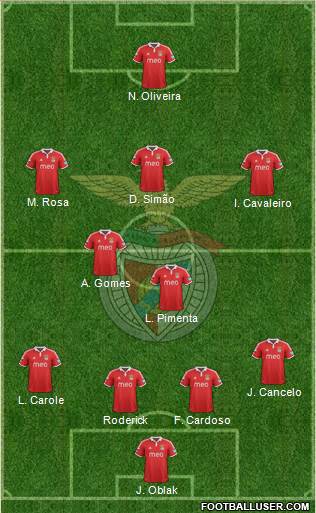 Sport Lisboa e Benfica - SAD Formation 2013