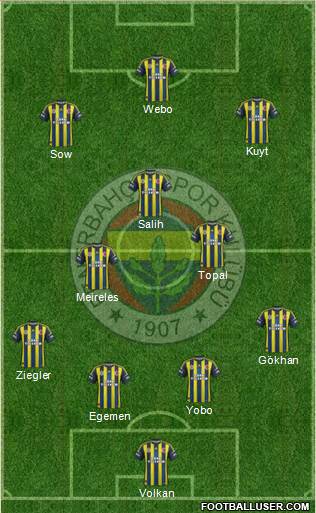 Fenerbahçe SK Formation 2013