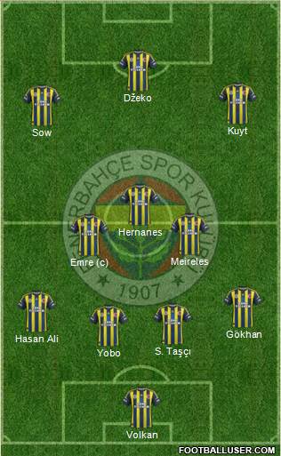 Fenerbahçe SK Formation 2013