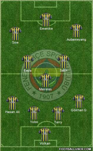 Fenerbahçe SK Formation 2013