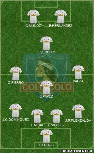 CSD Colo Colo Formation 2013