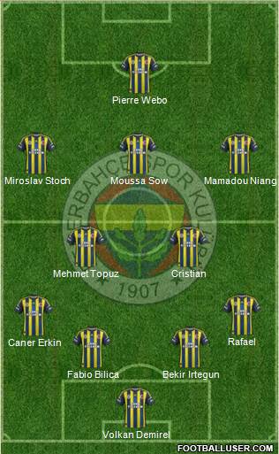 Fenerbahçe SK Formation 2013