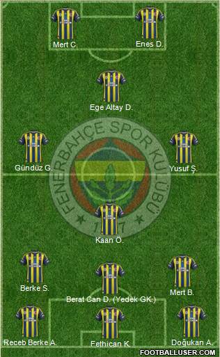 Fenerbahçe SK Formation 2013