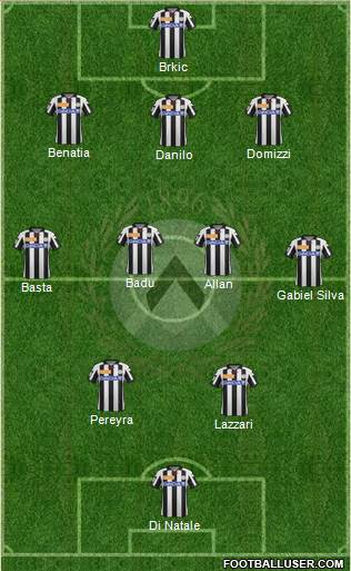 Udinese Formation 2013