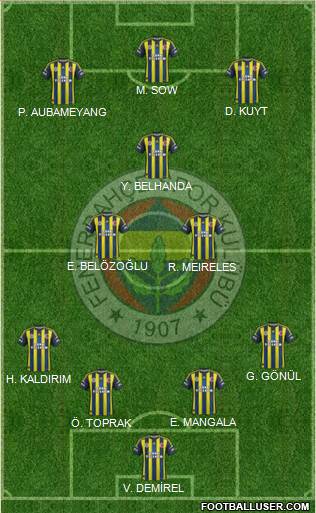 Fenerbahçe SK Formation 2013