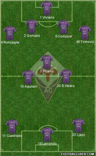 Fiorentina Formation 2013