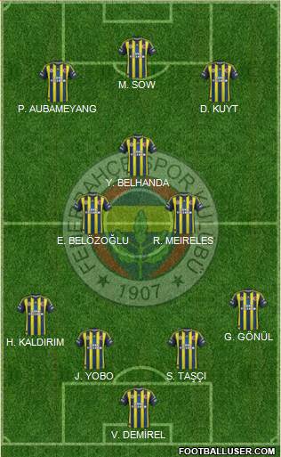 Fenerbahçe SK Formation 2013