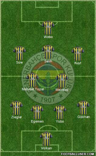 Fenerbahçe SK Formation 2013