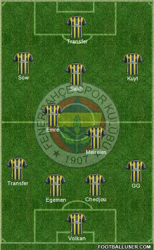 Fenerbahçe SK Formation 2013