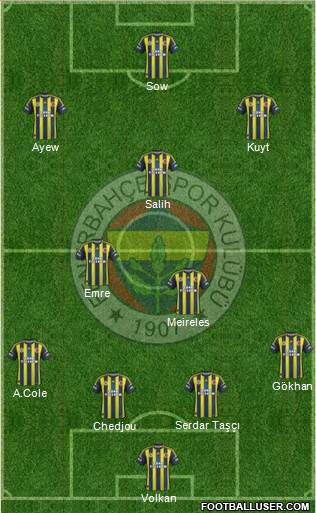 Fenerbahçe SK Formation 2013