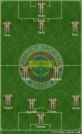 Fenerbahçe SK Formation 2013
