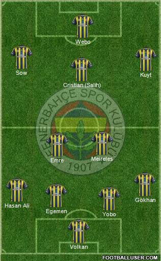 Fenerbahçe SK Formation 2013