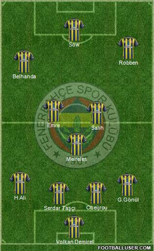 Fenerbahçe SK Formation 2013