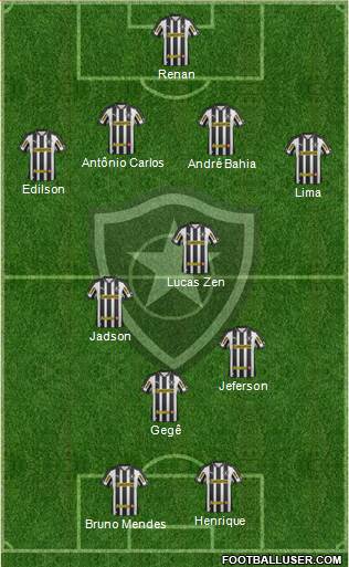 Botafogo FR Formation 2013