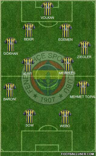 Fenerbahçe SK Formation 2013