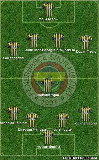 Fenerbahçe SK Formation 2013