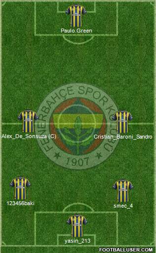 Fenerbahçe SK Formation 2013
