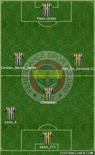Fenerbahçe SK Formation 2013