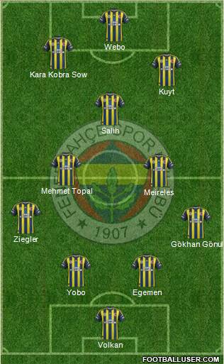 Fenerbahçe SK Formation 2013