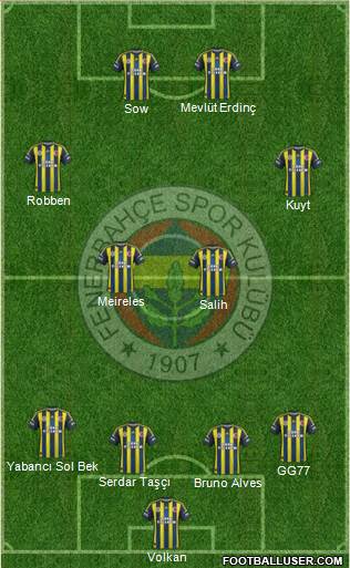 Fenerbahçe SK Formation 2013