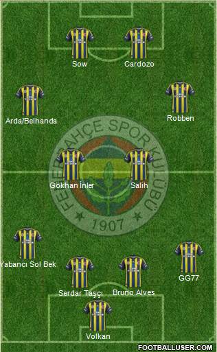 Fenerbahçe SK Formation 2013