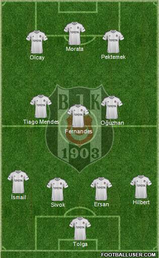 Besiktas JK Formation 2013