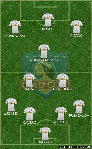 CSD Colo Colo Formation 2013
