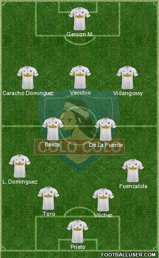 CSD Colo Colo Formation 2013