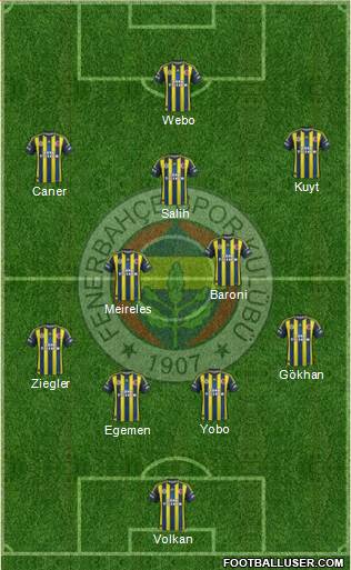 Fenerbahçe SK Formation 2013